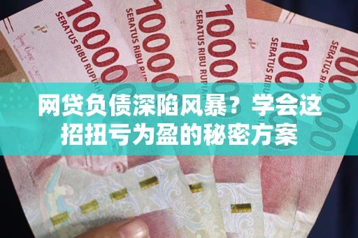 北京网贷负债深陷风暴？学会这招扭亏为盈的秘密方案